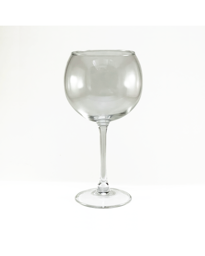 COPA DE GIN ETXE ETXE -HY-24
