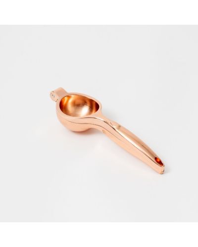 EXPRIMIDOR DORADO ETXE (HY-04)