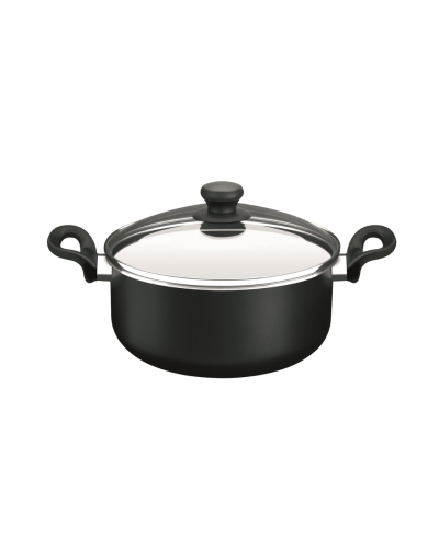 PRATIKA CACEROLA 24CM C/T VID TEFAL 9100020021