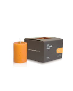 VELA 4X5 NECTARINE CANDLE A01D