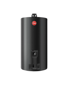 TERMOTANQUE RHEEM 80L GAS CONEXIÓN INFERIOR AEE