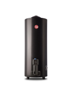 TERMOTANQUE RHEEM 80L GAS CONEXIÓN SUPERIOR AEE