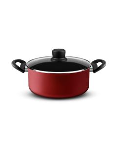 RED SURPRISE OLLA 24 C/ASAS T TEFAL 9100047974